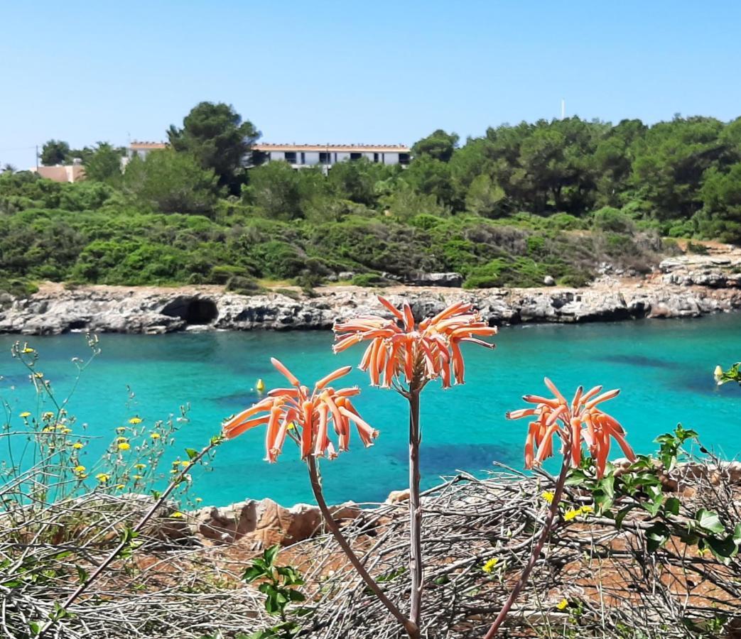 シウタデリャ Atico Playa Santandria Con Piscina Y Wifiヴィラ エクステリア 写真